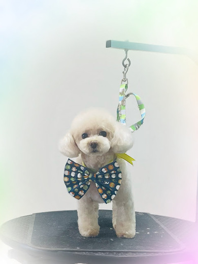 こまりちゃん♡こはるちゃん♡ふわりちゃん♡