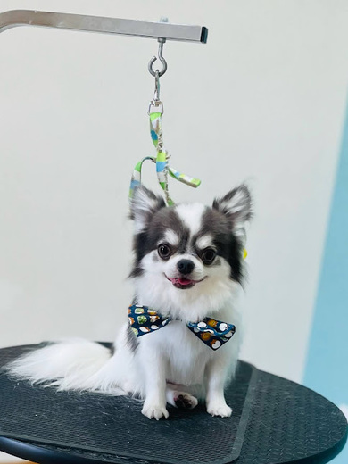 うゆくん♪ビビくん♪