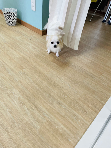 うゆくん♪ビビくん♪