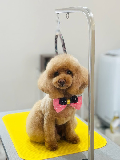 ルルちゃん♡ココちゃん♡