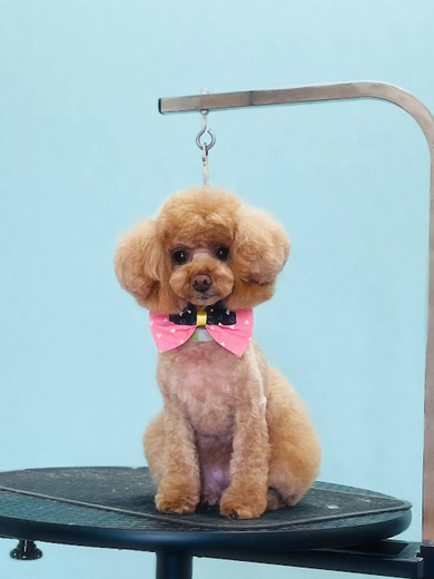 ルルちゃん♡ココちゃん♡