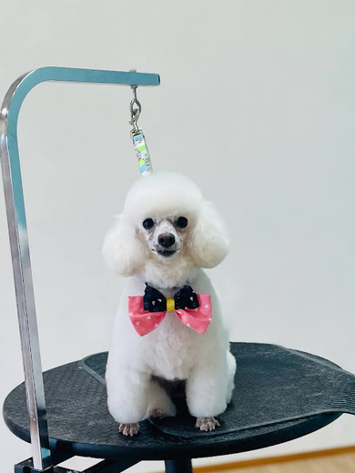 リリーちゃん♡