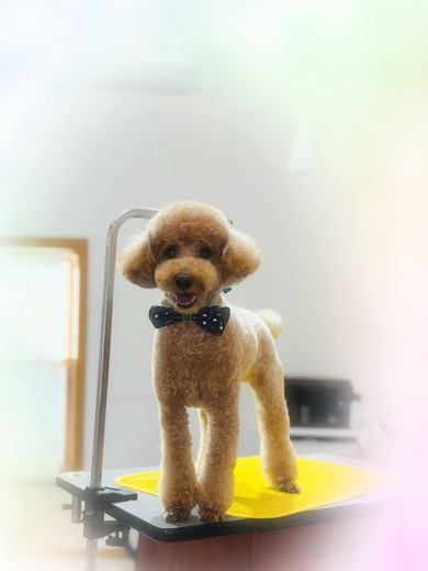 こたろうくん♪