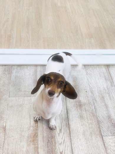 コロンちゃん♡