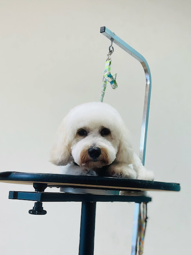 ハクくん♪ジジくん♪