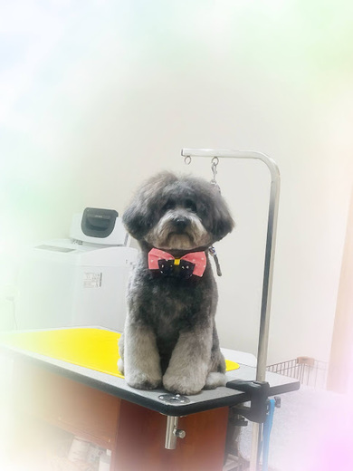 ハクくん♪ジジくん♪