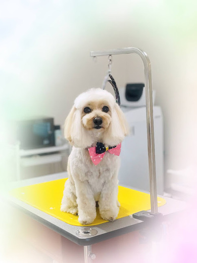 シェリちゃん♡サラちゃん♡