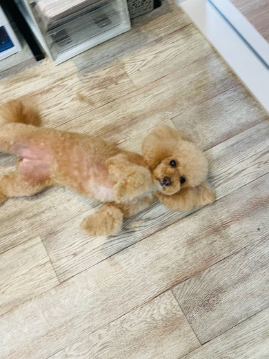 シェリちゃん♡サラちゃん♡