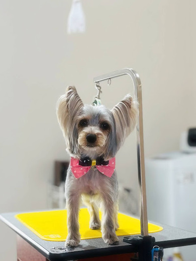 しぇりちゃん♡