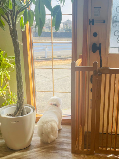 さくらちゃん♡