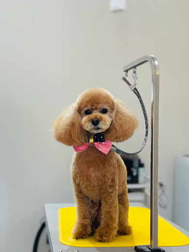 こるくちゃん♡