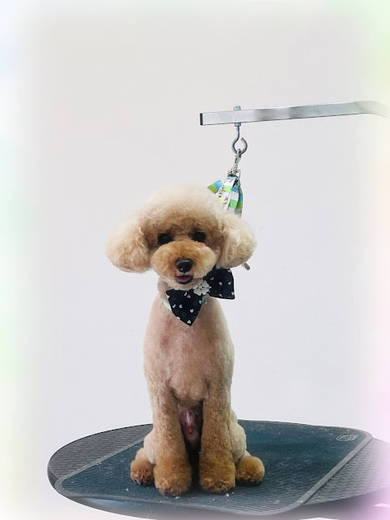 こたろうくん♪