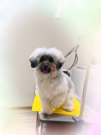 モンチちゃん♡