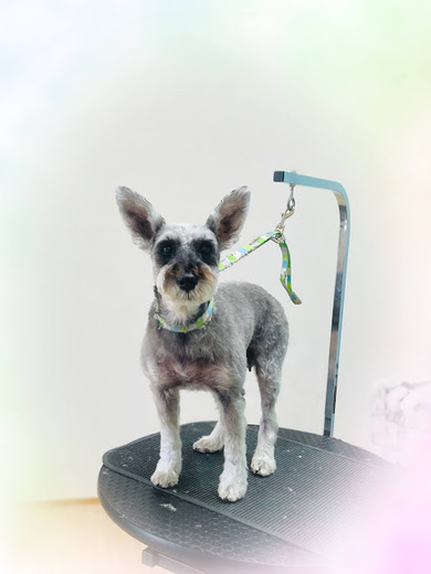 あん子ちゃん♡