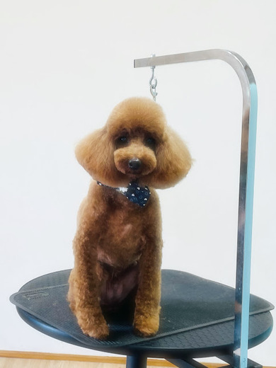 ブランくん♪アリスちゃん♡