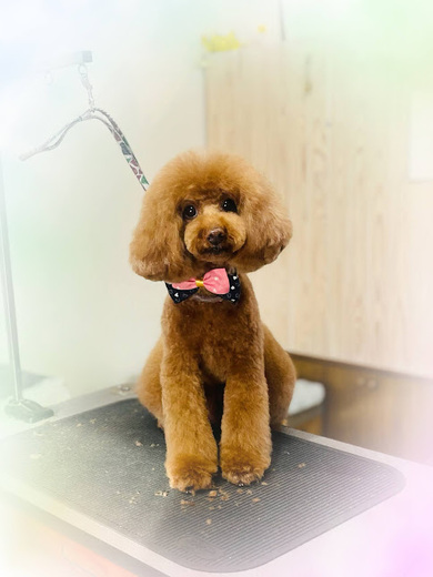 クッキーくん♪るるちゃん♡