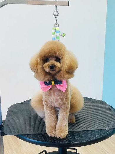 クッキーくん♪るるちゃん♡