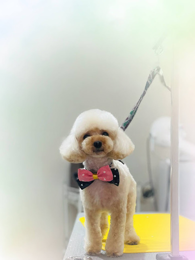 ひらりちゃん♡