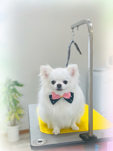 ふくちゃん♡まめくん♪