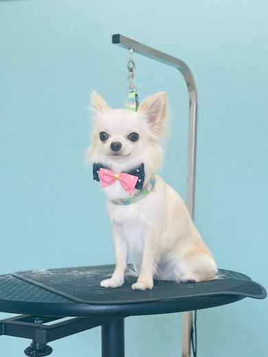 ふくちゃん♡まめくん♪