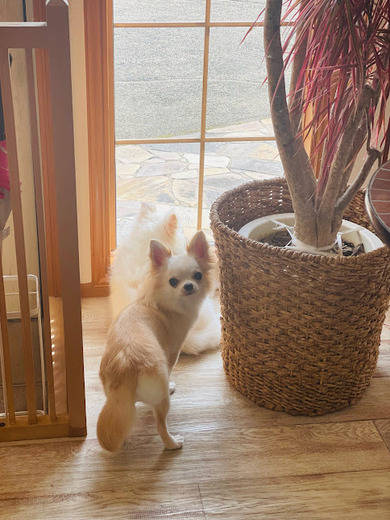 ふくちゃん♡まめくん♪