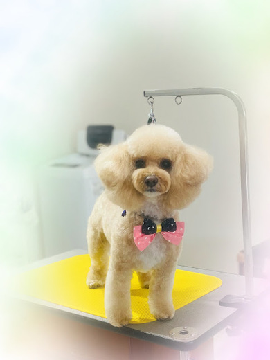 サラちゃん♡シェリちゃん♡