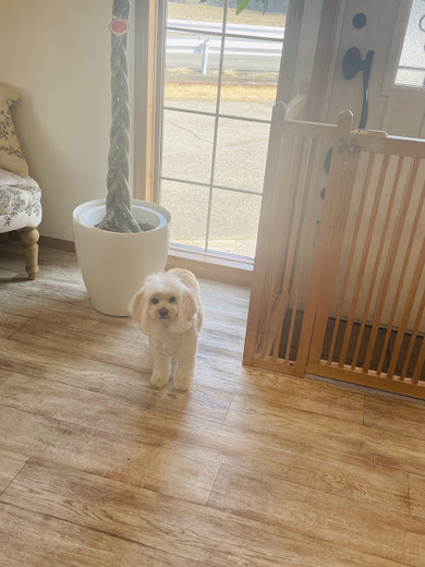 サラちゃん♡シェリちゃん♡