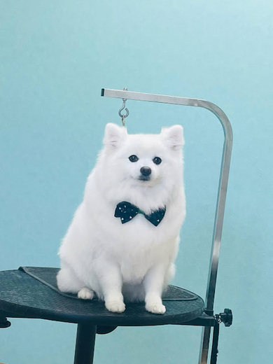 クルムちゃん♡