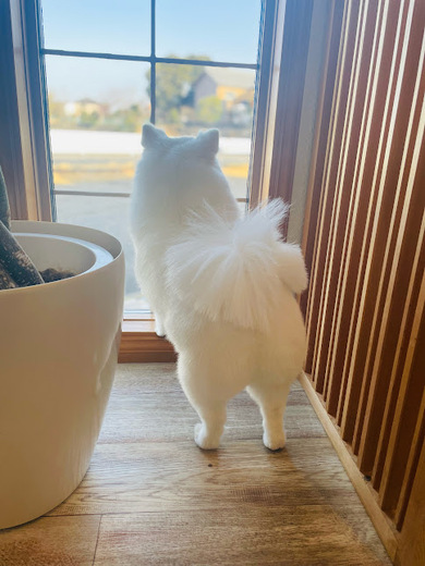 クルムちゃん♡