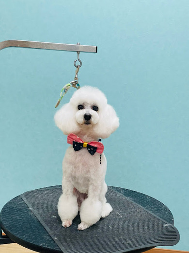 チバリーちゃん♡