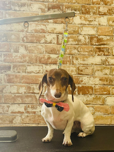 コロンちゃん♡