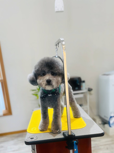 ごえもんくん♪