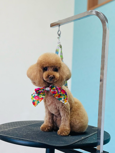 ルルちゃん♡ココちゃん♡