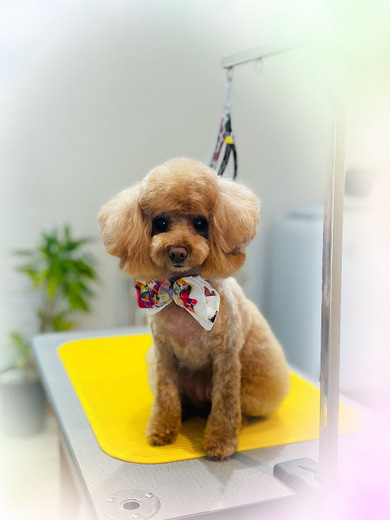 ルルちゃん♡ココちゃん♡