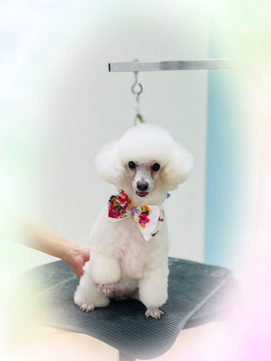 リリーちゃん♡