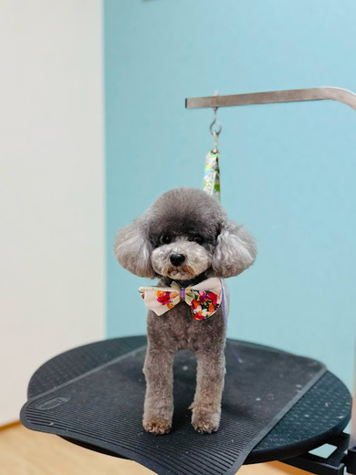 こまりちゃん♡