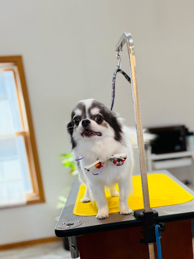 うゆくん♪ビビくん♪