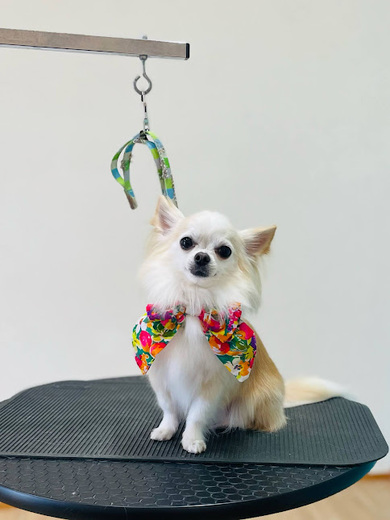 うゆくん♪ビビくん♪