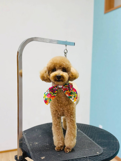 こたろうくん♪