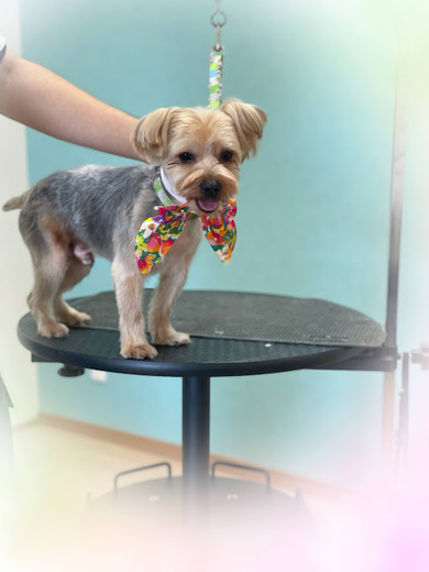 心くん♪ケンくん♪