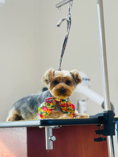 心くん♪ケンくん♪