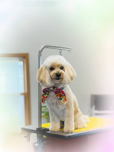 シェリちゃん♡サラちゃん♡