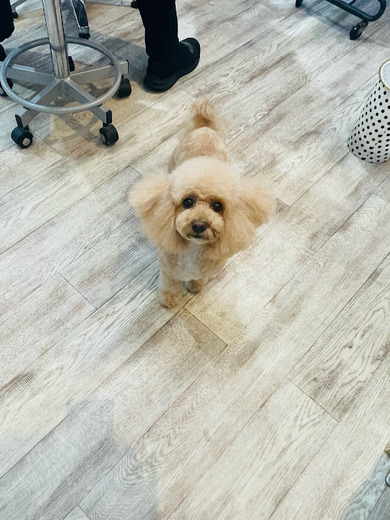 シェリちゃん♡サラちゃん♡