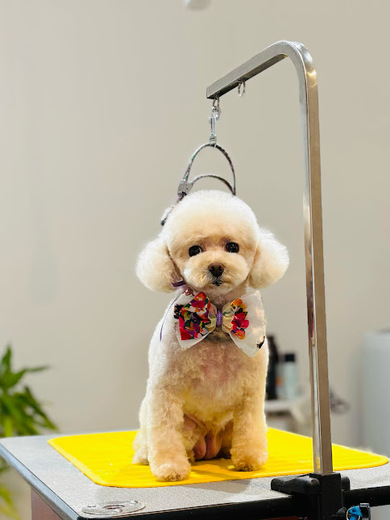 ふわりちゃん♡こはるちゃん♡