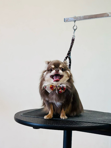 諭吉くん♪佐助くん♪