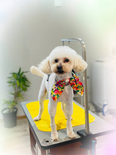 ヒコウくん♪エデンくん♪