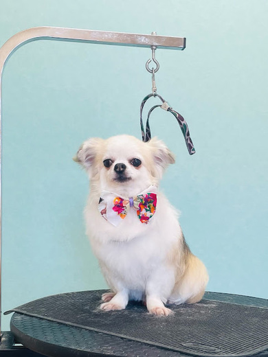 ヒコウくん♪エデンくん♪