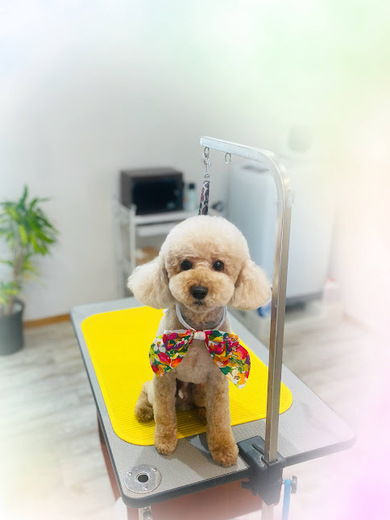 こたろうくん♪