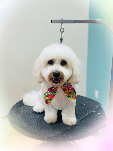 ハクくん♪ジジくん♪