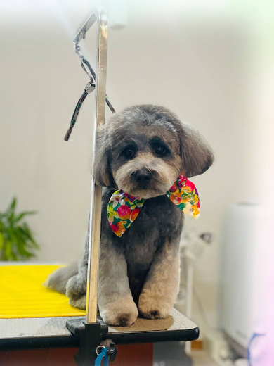 ハクくん♪ジジくん♪